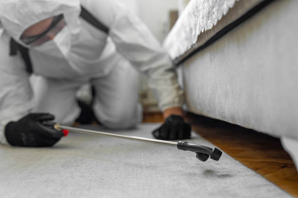 Professional Termite Control technician working in Payson, AZ