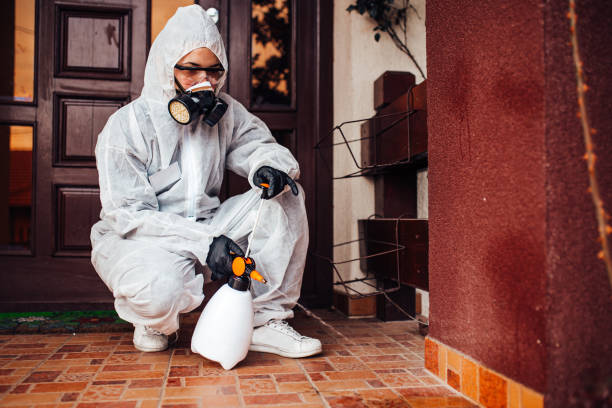 Reliable Termite Control contractor in Payson, AZ by Nex Pest Control